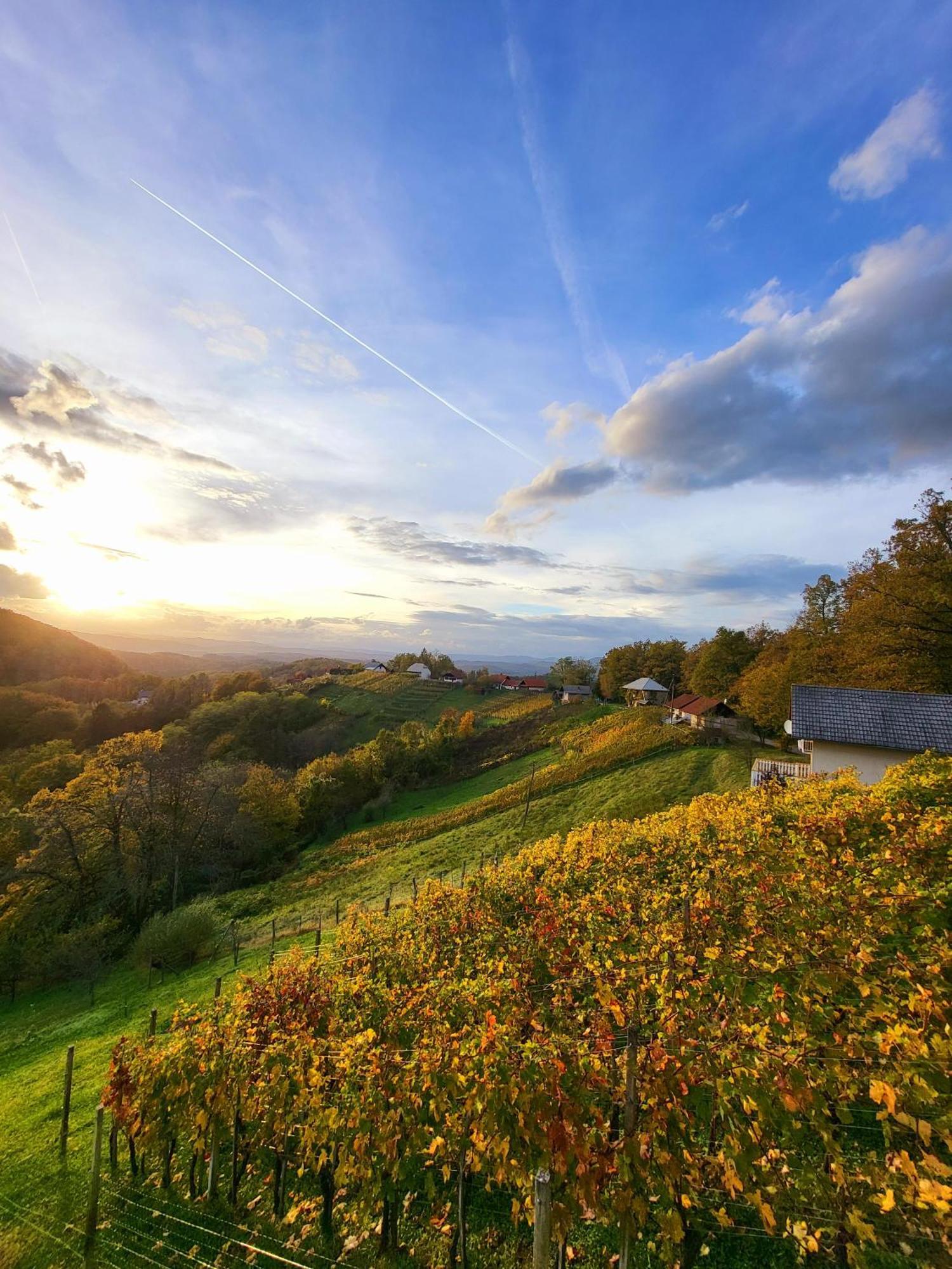 Vineyard Cottage Soncni Gric Trebnje Exterior foto