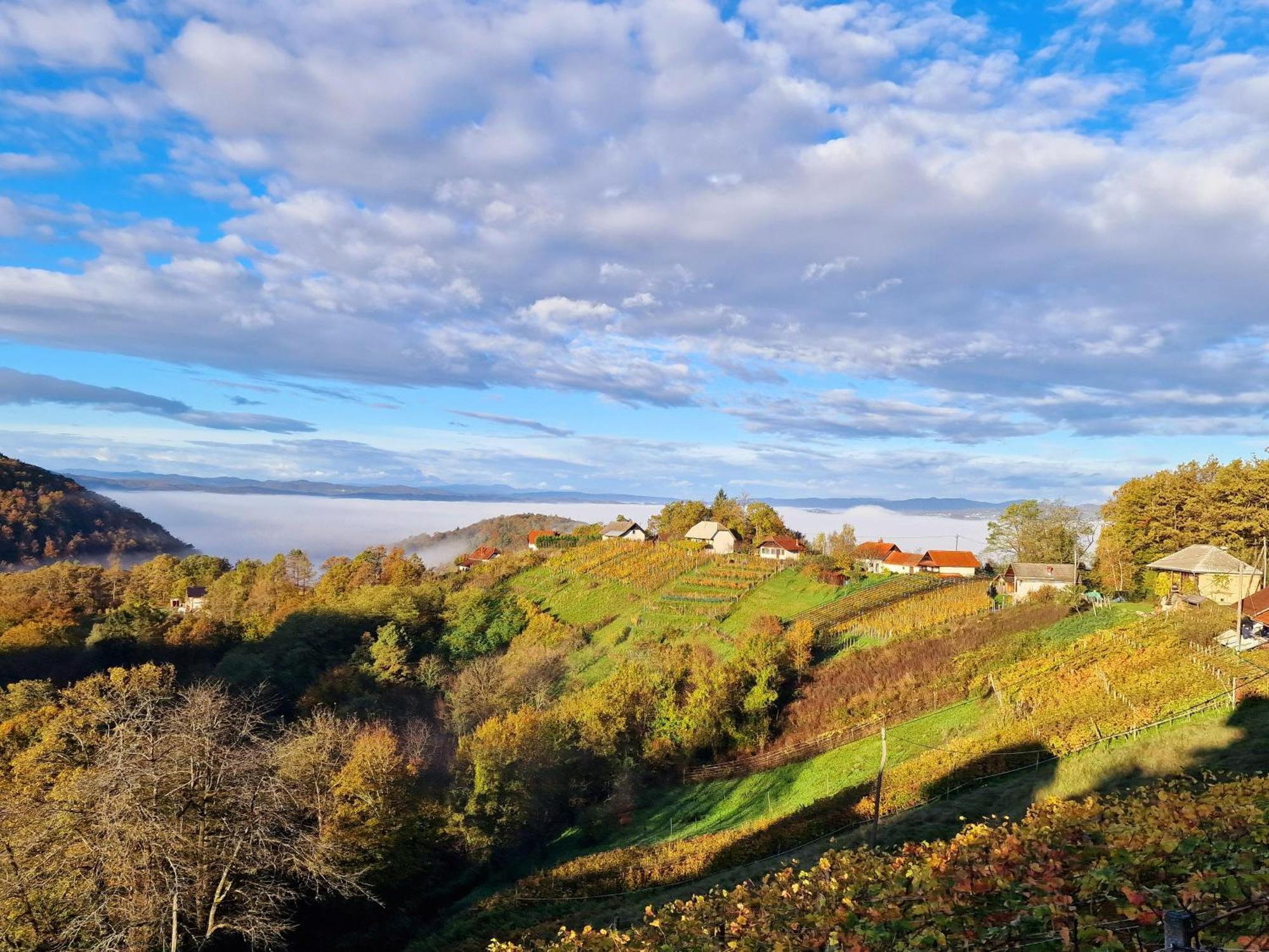 Vineyard Cottage Soncni Gric Trebnje Exterior foto